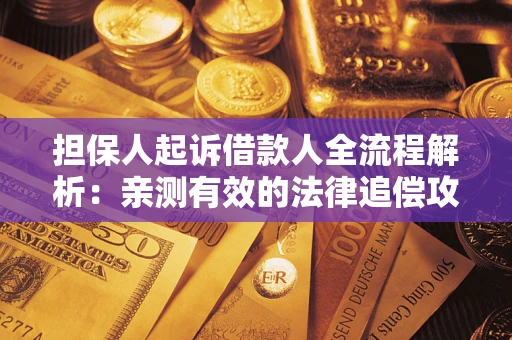 武汉担保人起诉借款人全流程解析：亲测有效的法律追偿攻略
