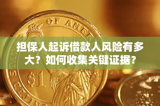 武汉担保人起诉借款人风险有多大？如何收集关键证据？