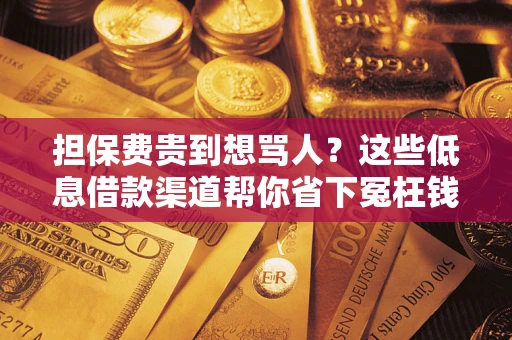 武汉担保费贵到想骂人？这些低息借款渠道帮你省下冤枉钱