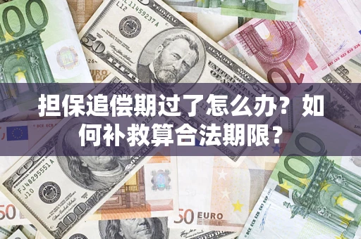 武汉担保追偿期过了怎么办？如何补救算合法期限？