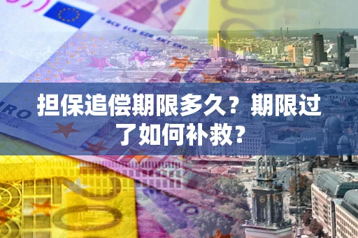武汉担保追偿期限多久？期限过了如何补救？