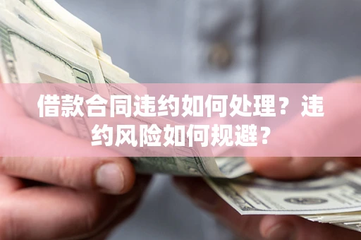 武汉借款合同违约如何处理？违约风险如何规避？