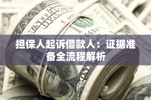 武汉担保人起诉借款人：证据准备全流程解析