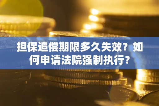 武汉担保追偿期限多久失效？如何申请法院强制执行？