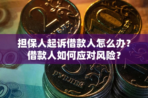 武汉担保人起诉借款人怎么办？借款人如何应对风险？