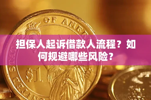 武汉担保人起诉借款人流程？如何规避哪些风险？