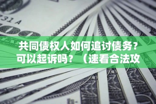武汉共同债权人如何追讨债务？可以起诉吗？（速看合法攻略）