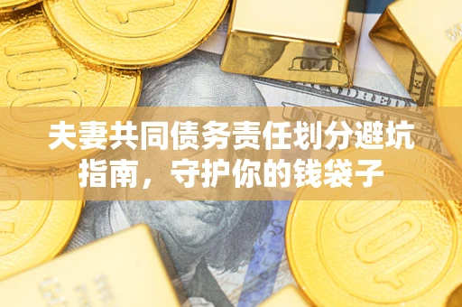 武汉夫妻共同债务责任划分避坑指南，守护你的钱袋子