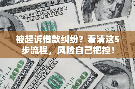 武汉被起诉借款纠纷？看清这5步流程，风险自己把控！