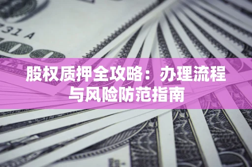 武汉股权质押全攻略：办理流程与风险防范指南